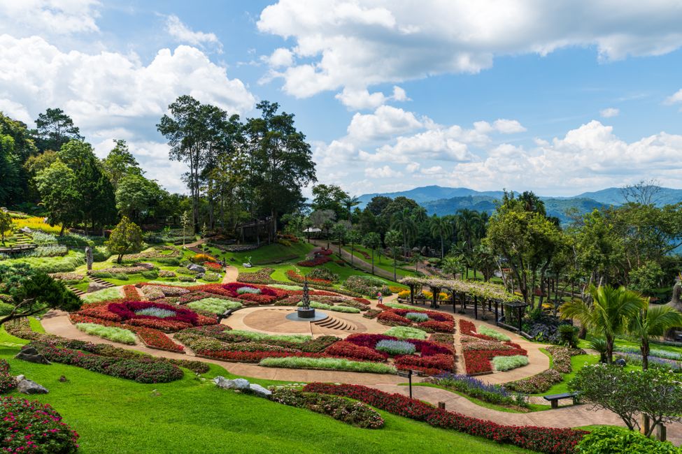 Jardim exuberante de projeto de paisagismo
